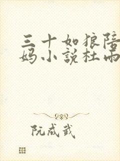 三十如狼陪读妈妈小说杜雨馨封面