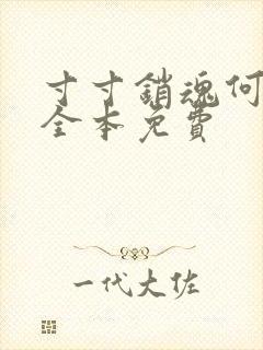 寸寸销魂何生祥全本免费