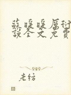 苏暖暖厉衍琛小说全文免费阅读