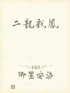 二龙戏凤