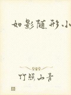 如影随形小说