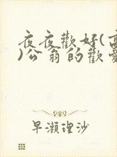 夜夜欢好(高h)公翁的欢爱h封面