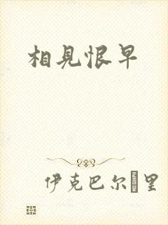 相见恨早