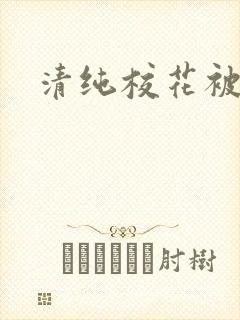 清纯校花被封面