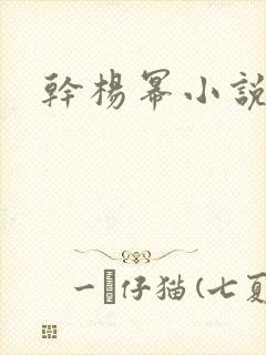 干杨幂小说