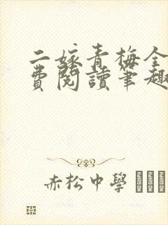 二嫁青梅全文免费阅读笔趣阁