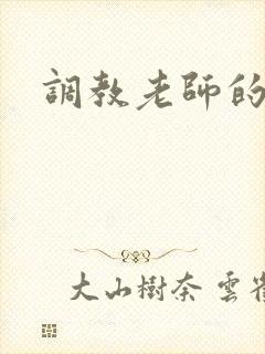 调教老师的小说封面