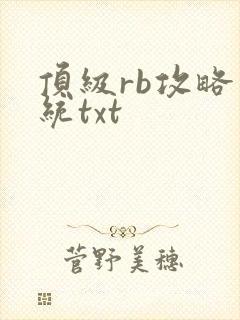 顶级rb攻略系统txt