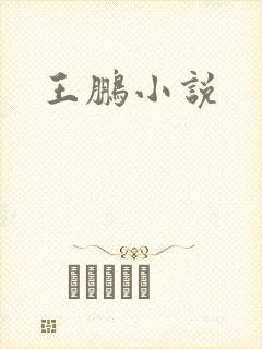 王鹏小说