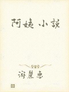 阿姨 小说