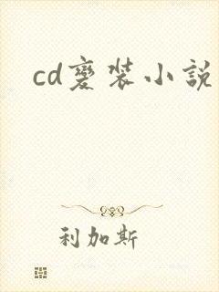 cd变装小说