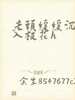 老头缓缓沉腰进入校花h