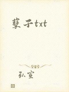 孽子txt封面