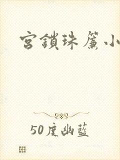宫锁珠帘小说