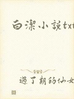 白洁小说txt