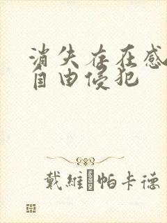 消失存在感消失自由侵犯