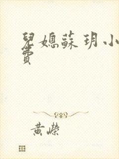 儿媳苏玥小说免费