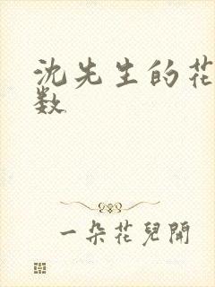 沈先生的花式调数封面