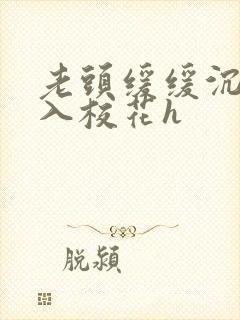 老头缓缓沉腰进入校花h