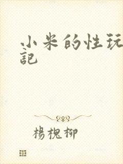 小米的性玩具日记