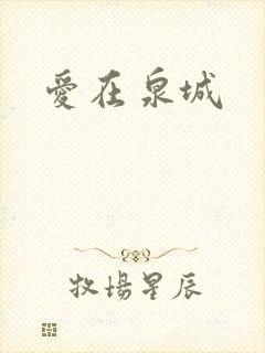 爱在泉城封面