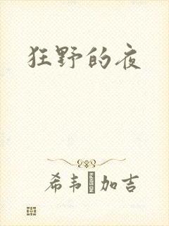 狂野的夜封面