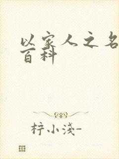 以家人之名百度百科