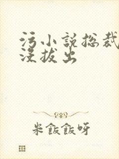 污小说总裁整夜没拔出