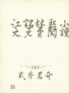 江铭林熙小说全文免费阅读