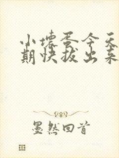 小坏蛋今天危险期快拔出来