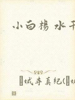 小白杨 水千丞