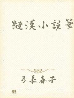 糙汉小说笔趣阁封面