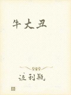 牛大丑封面