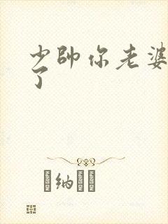 少帅你老婆又跑了