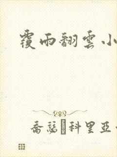 覆雨翻云小说
