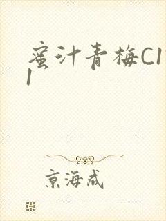 蜜汁青梅C1V1
