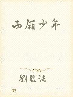 西厢少年封面