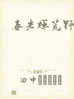 春光辉荒野封面
