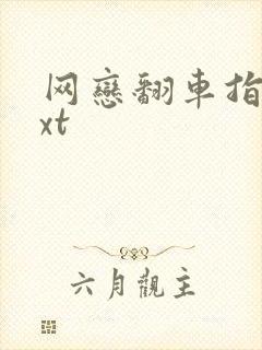 网恋翻车指南txt封面