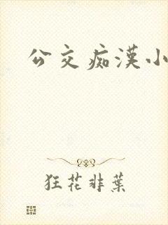 公交痴汉小说