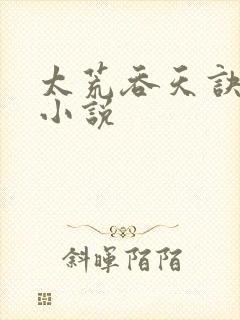 太荒吞天诀免费小说