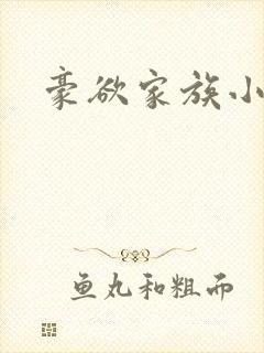豪欲家族小说