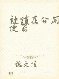 被锁在公厕当坐便器