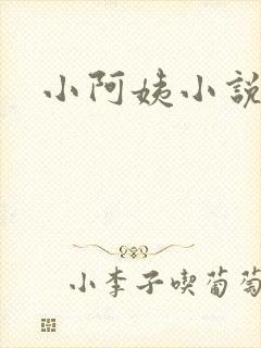 小阿姨小说