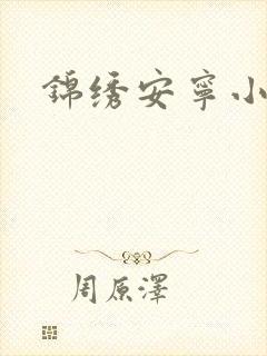 锦绣安宁小说封面