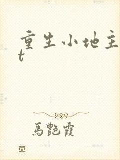 重生小地主txt