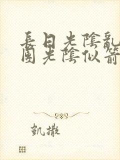 长日光阴乱作一团光阴似箭眇眇翟封面