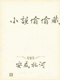 小说偷偷藏不住