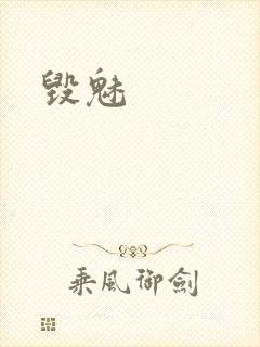 毁魅封面