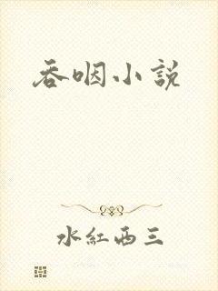 吞咽小说